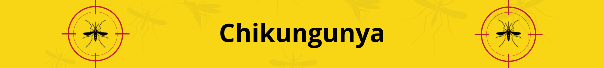 imagem ilustrativa de fundo amarelo destacando a palavra 'Chikungunya' em letras pretas e negrito no centro. O fundo apresenta ilustrações de mosquitos, com dois deles em evidência dentro de alvos de mira vermelhos localizados à esquerda e à direita. A composição visual enfatiza o tema da Chikungunya, uma doença viral transmitida por mosquitos